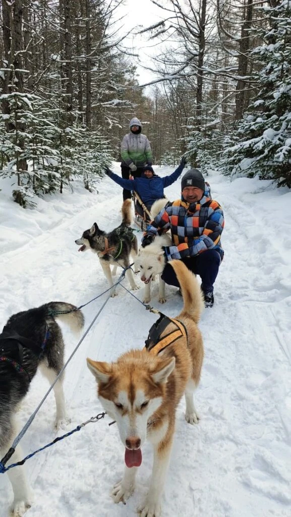В гостях у Сахалинских ездовых собак