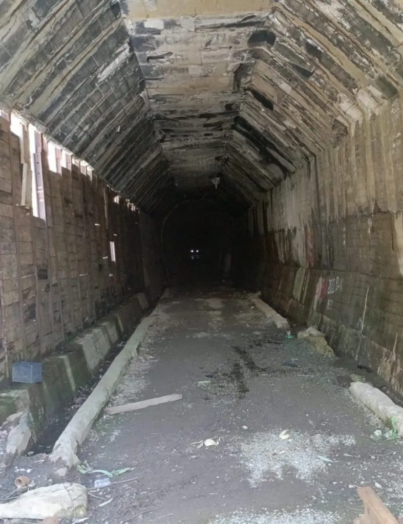 Chertov I Vedmin Most Yaponskie Tunneli  Photo 5280480446271657449 Y