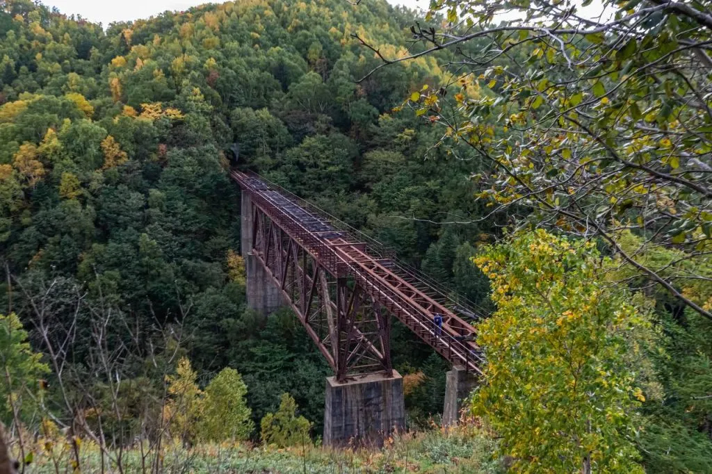 Старая Японская дорога, с. Лесное