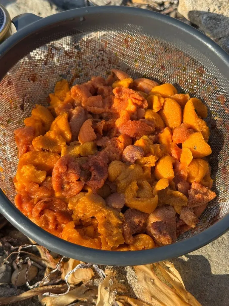 Eksklyuzivnaya Gastronomicheskaya Ekskursiya Ohota Na Morskogo Ezha Gosti  5463007171844368689