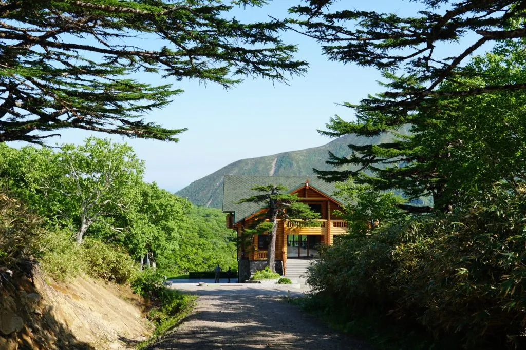 Kater Arina  Has02418 Scaled