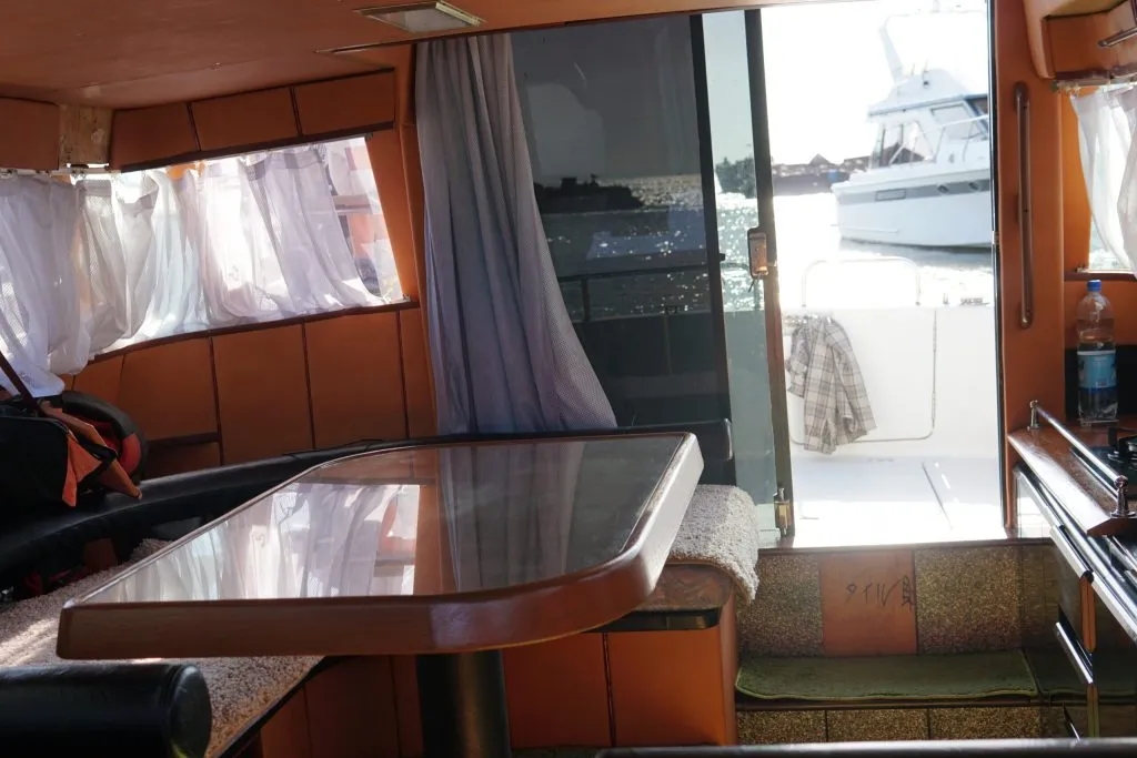 Kater Arina  Has02840 1 Scaled