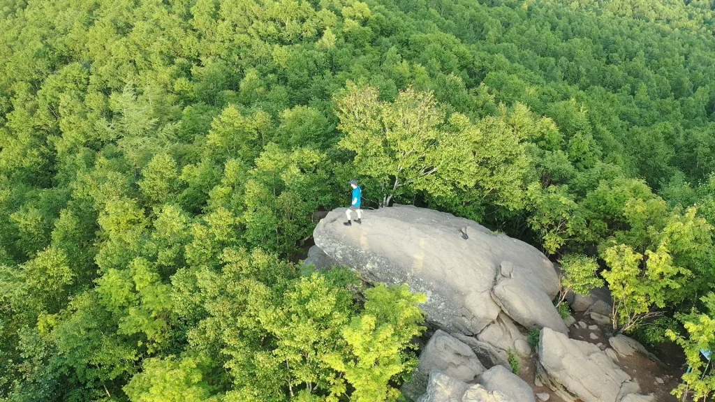 Mesto Sily Ostanec Lyagushka Gosti  Ostanec Lyagushka Panorama Les