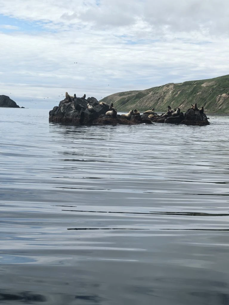 Морской природный парк остров Монерон